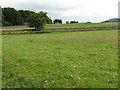 Fields at Woodhead