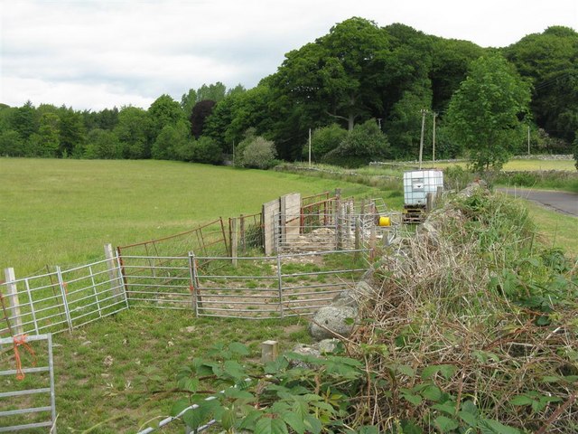 Animal pen and watering point