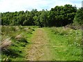 Footpath to Chacefield Wood