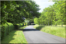 TQ0651 : New Road, East Clandon by MrC