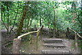 Footpath steps, Sydenham Hill Wood Nature Reserve