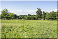 Field at East Clandon