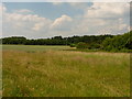 SJ8008 : Farmland south of Weston Park estate by Richard Law