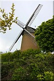 SZ6387 : Bembridge Windmill by Steve Daniels