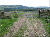 NY6948 : The Pennine Way near Whitlow by Philip Barker