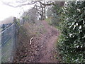 Steep climb on track through Lodge Wood, Caerleon