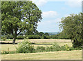 2010 : Fields adjacent to one of the Five Lanes