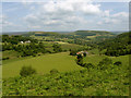 Gower Dale