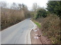 Narrow section of Pillmawr Road, Caerleon