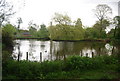 Pond, Sydenham Wells Park