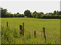 Moated site at Blymhill