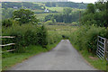 Lane to Tynrhelyg farm