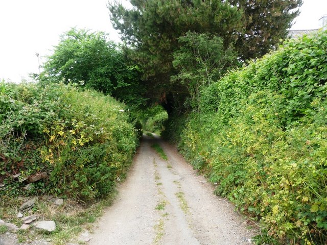 Lane to the Holy Well and Holwell Farm