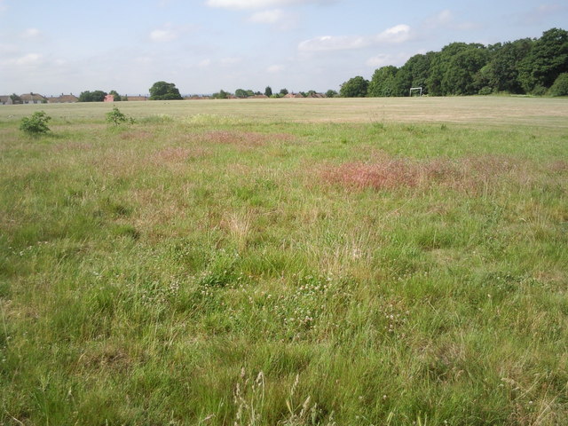 Clam Field, Bostall Heath © Marathon cc-by-sa/2.0 :: Geograph Britain ...