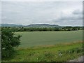 View towards Alderton Hill