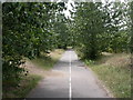 Christchurch, path and cycleway