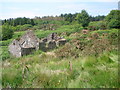 Ruined croft house of Middle Inens