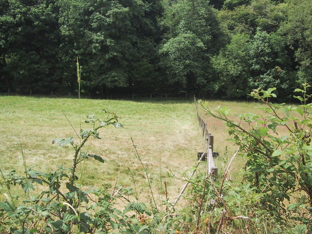 Field by Woodland Copse