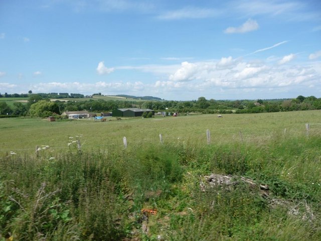Pasture between the railway and Little Ireley