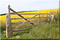 Field gate at Boscregan