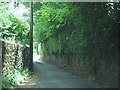 Road towards Nattardon Common