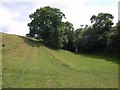 Track at Hagley Bridge