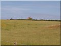 Cae Newydd from the Mochras Farm road