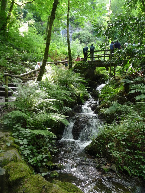 Canonteign Falls : Stream & Path