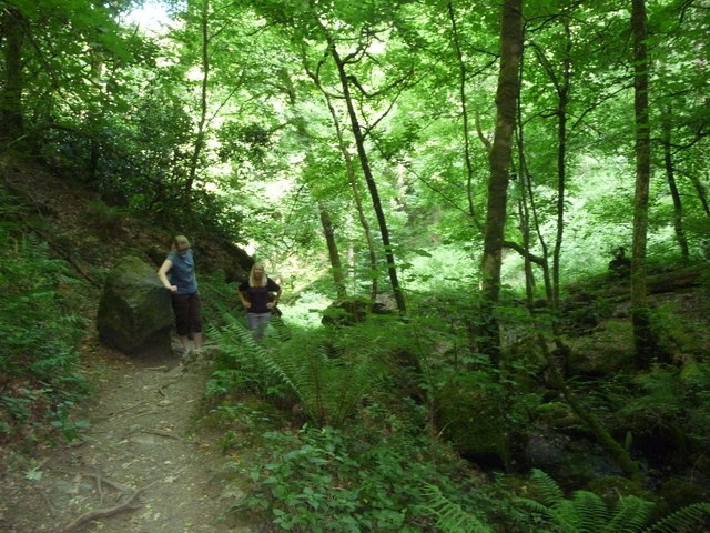 Canonteign Falls : Path up the Hill