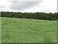 Arable land, Maidenhall