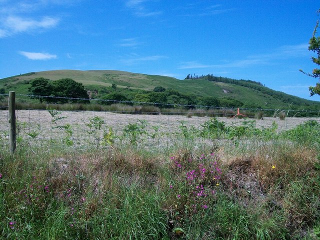 A mown hayfield with Moel Caerau in the background