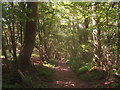 Footpath towards Cow Lane