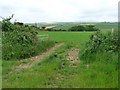 Fields near Jordanston