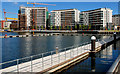 The Abercorn Basin, Belfast (16)