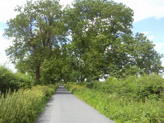 Country Road, Co Meath