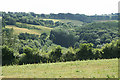 West Buckfastleigh: Lakemoor Wood