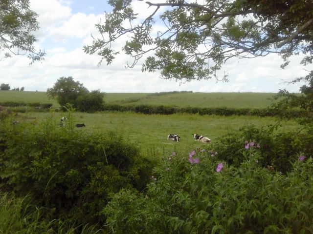 Pasture Fields, Timoole, Co Meath