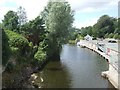 Downstream of the bridge at Kesh