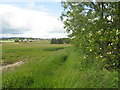 Field edge boundary-Lonforgan in the distance