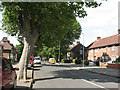 TQ3772 : King Alfred Avenue, Bellingham by Stephen Craven