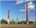 Wolsey chimneys at Abbey Meadows