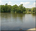 Lydney Boating Lake