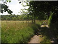 Bridleway from Ludwells Farm