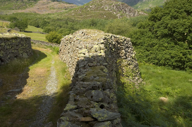 The fattest dry stone wall in Lakeland?