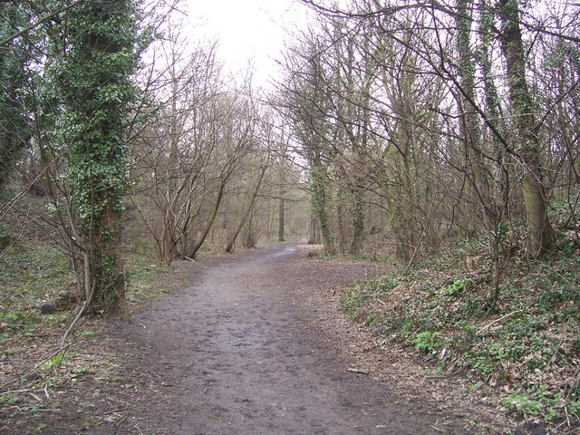 Footpath through Bray Plantation © Martin Speck cc-by-sa/2.0 ...