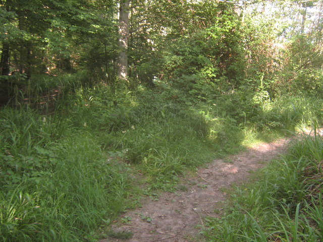 Footpath junction near Russell's Wood