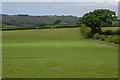 Field north of Rhos-y-garth