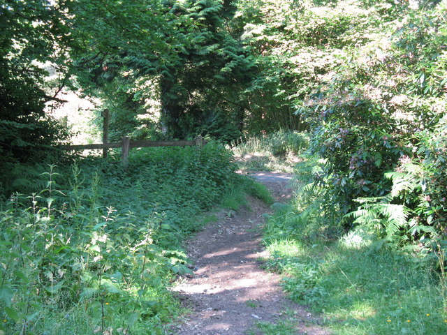 Bridleway junction with lane near Fitzlea Wood
