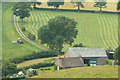 Haymaking at Cophurst