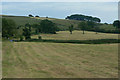 Hayfields near Hollinset Farm